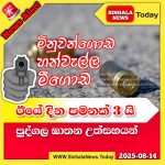 20254323741258153888404